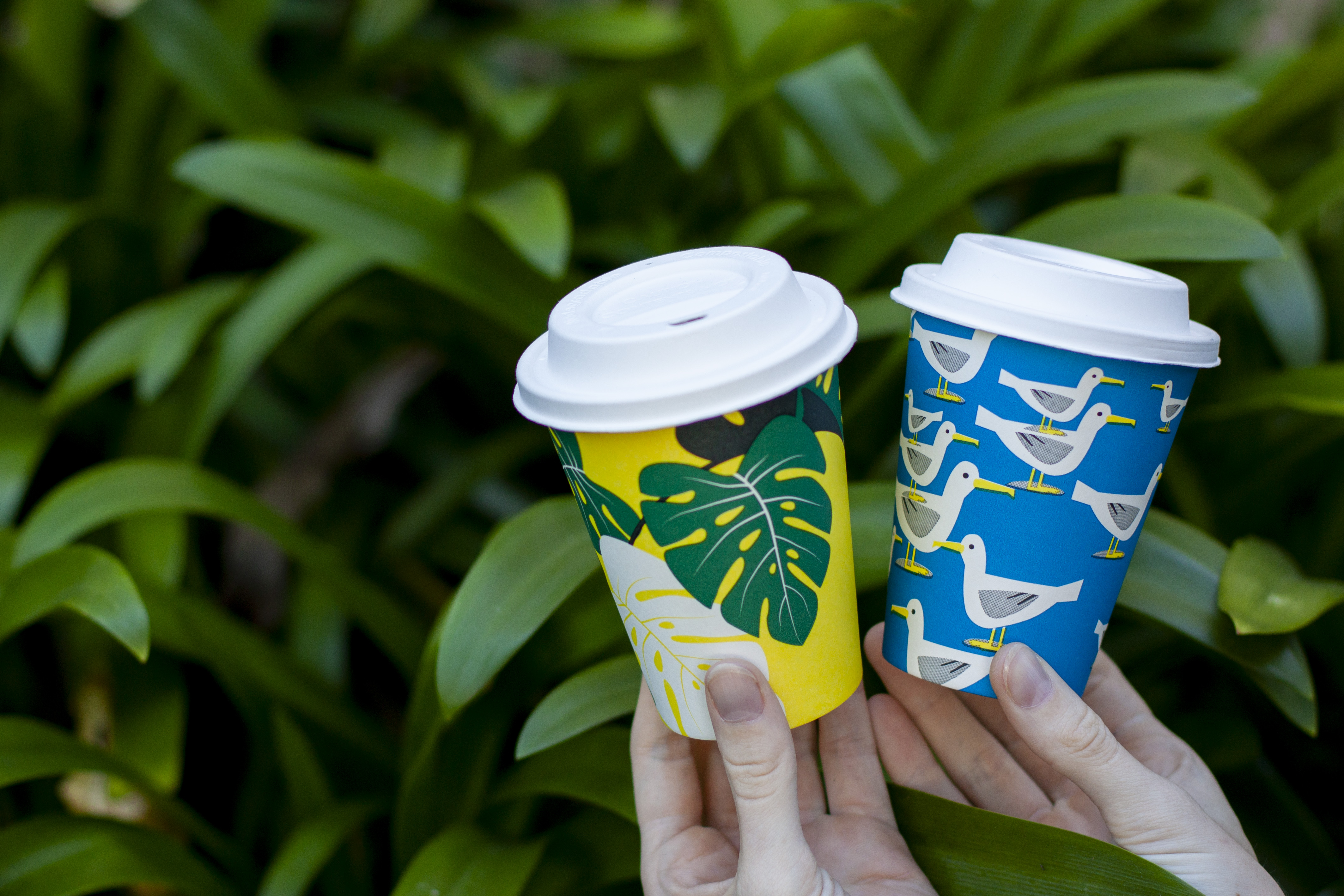 WA's Plastic Cup, Lid and Tray Ban